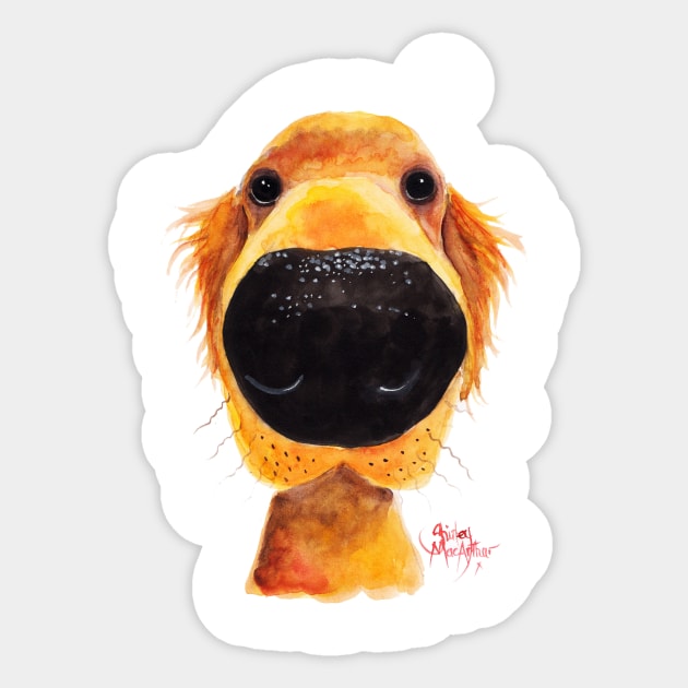 Labrador/Retriever ' RoY ' BY SHiRLeY MacARTHuR Sticker by ShirleyMac